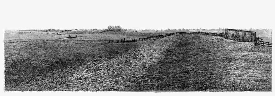 liaslandschap1
